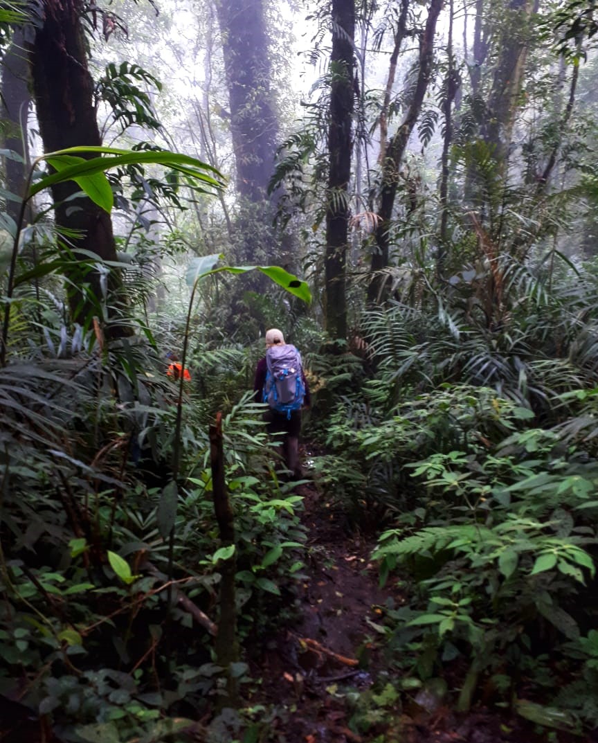 Sumatera Tiger Trek